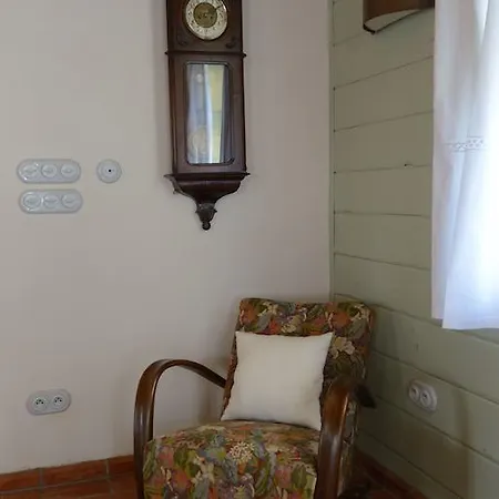 Country house Statek Salajna