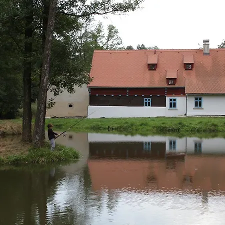 Statek Salajna