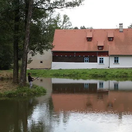 Statek Salajna
